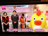 ニュースエブリー2 ニュースエブリー2