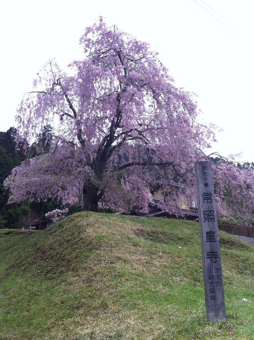 常照皇寺