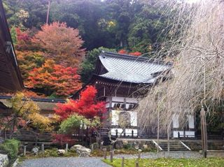 京都14